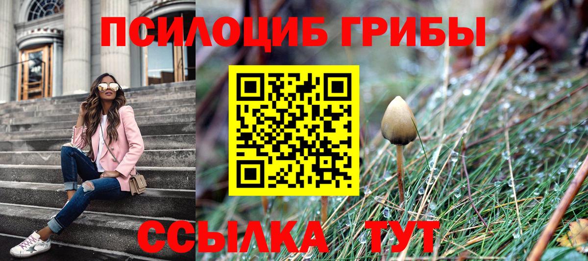 Псилоцибиновые грибы Psilocybe  Вход с VPN  Нерюнгри 