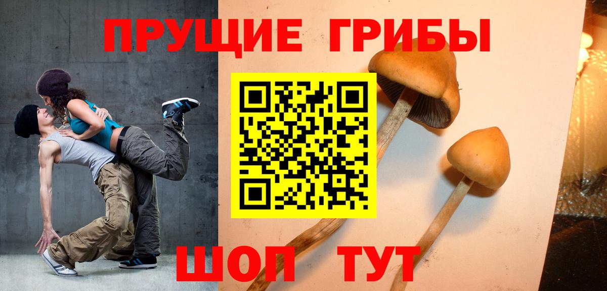 Псилоцибиновые грибы ЛСД Нерюнгри